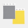 swcd-tcx-color-of-the-year-2021-ultimate-gray-illuminating